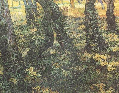 Vincent Van Gogh Tree Trunks with Ivy (nn04) France oil painting art